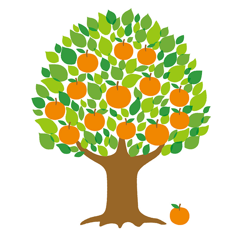 林檎や蜜柑などの果物のなる樹木の相続税評価方法